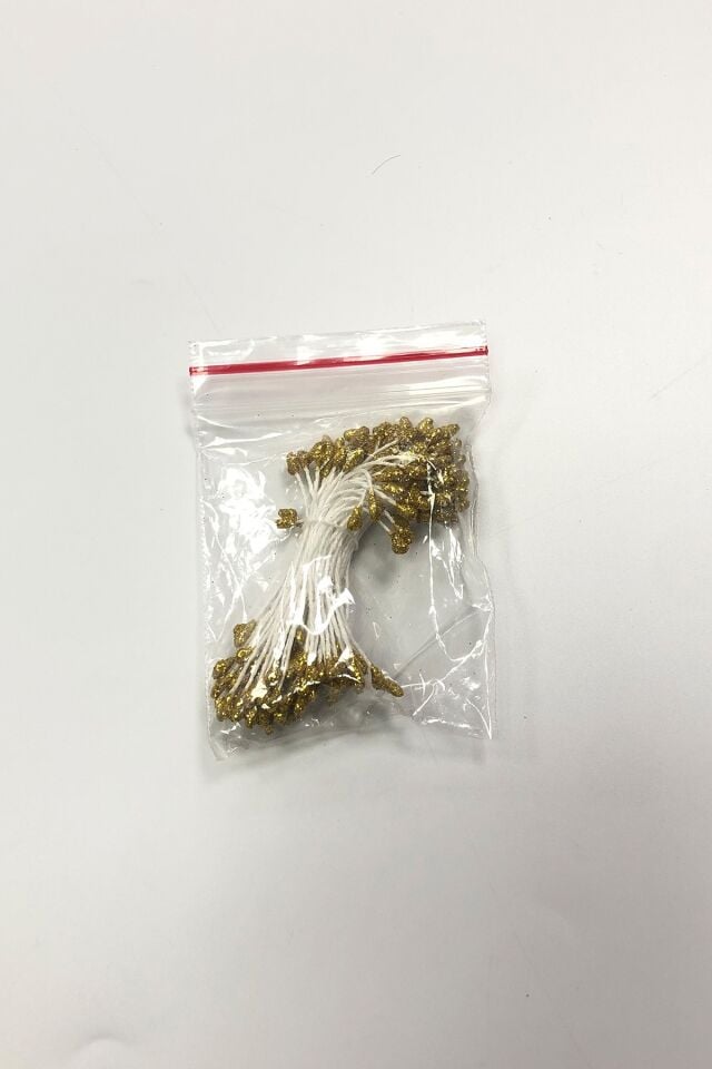ÇİÇEK TOHUMU