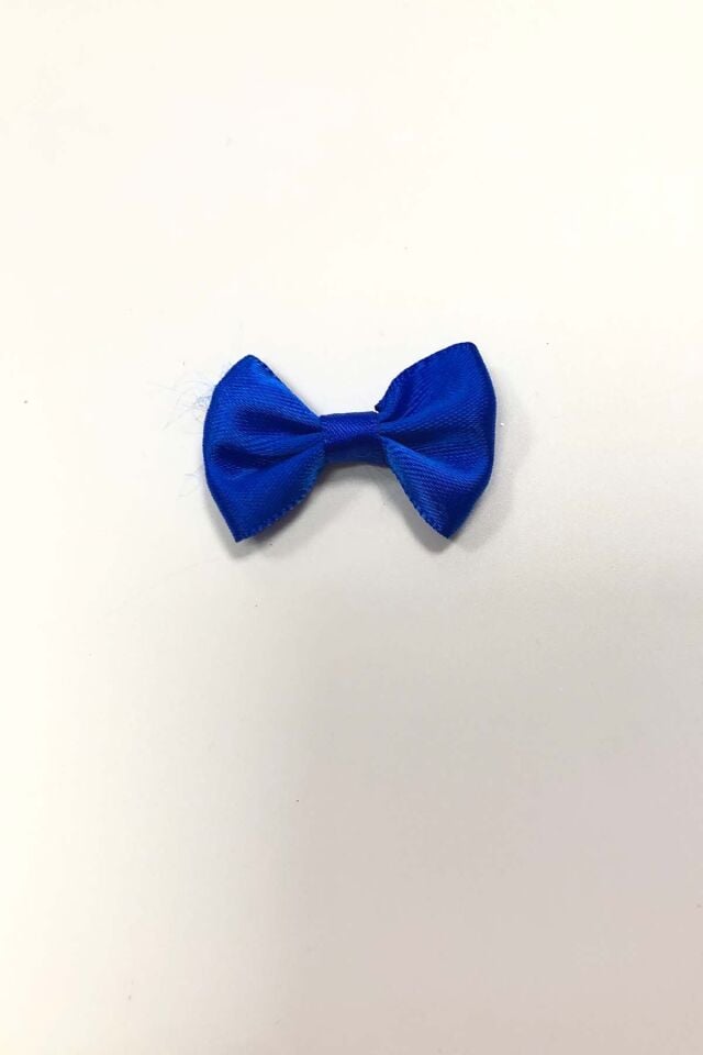 SATEN FİYONK SÜS