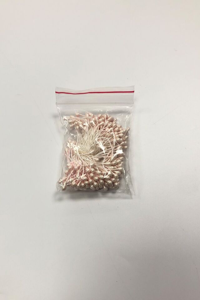 ÇİÇEK TOHUMU