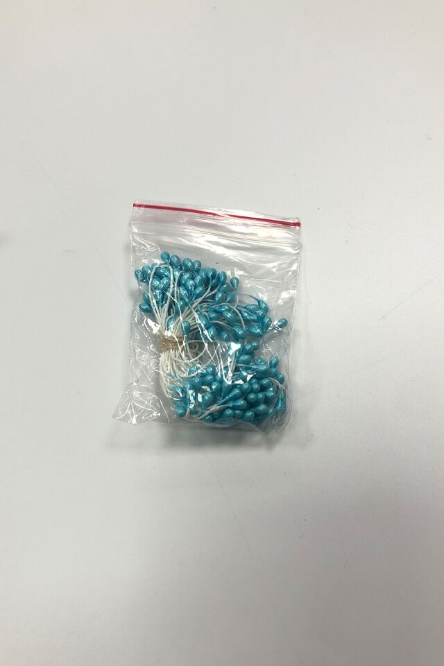 ÇİÇEK TOHUMU