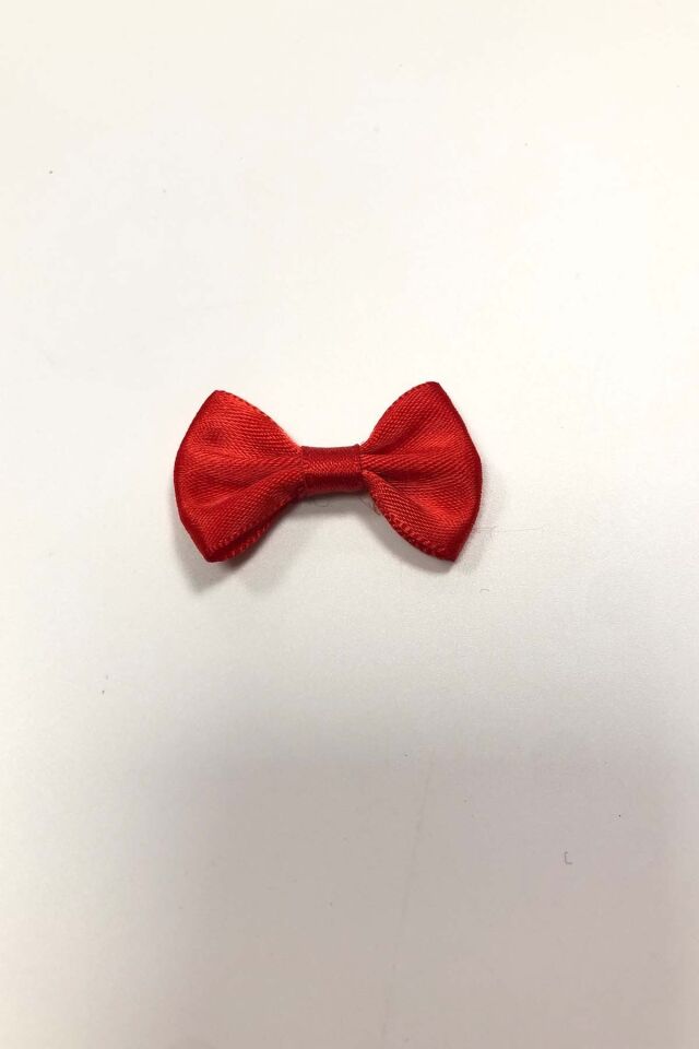 SATEN FİYONK SÜS