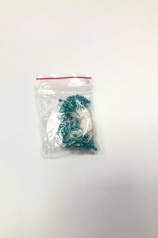 ÇİÇEK TOHUMU